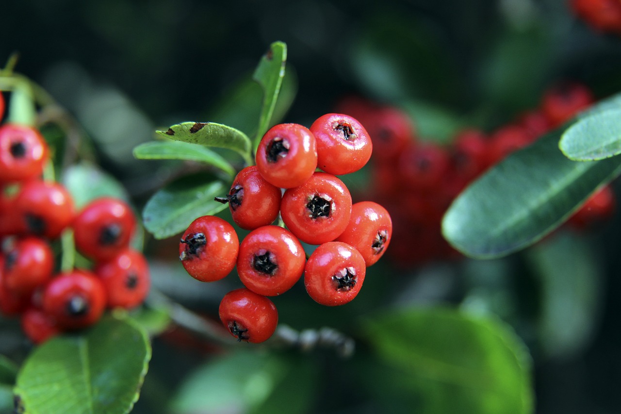 方位的培养 方位的培养