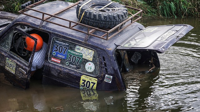 的紅利不僅 的紅利不僅