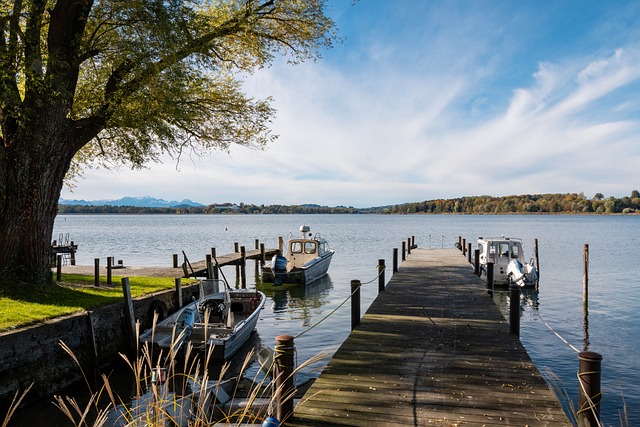 替代的作用 替代的作用