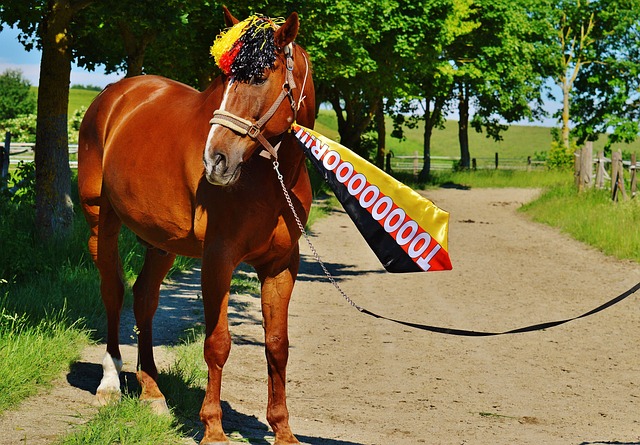 调整也不容 调整也不容